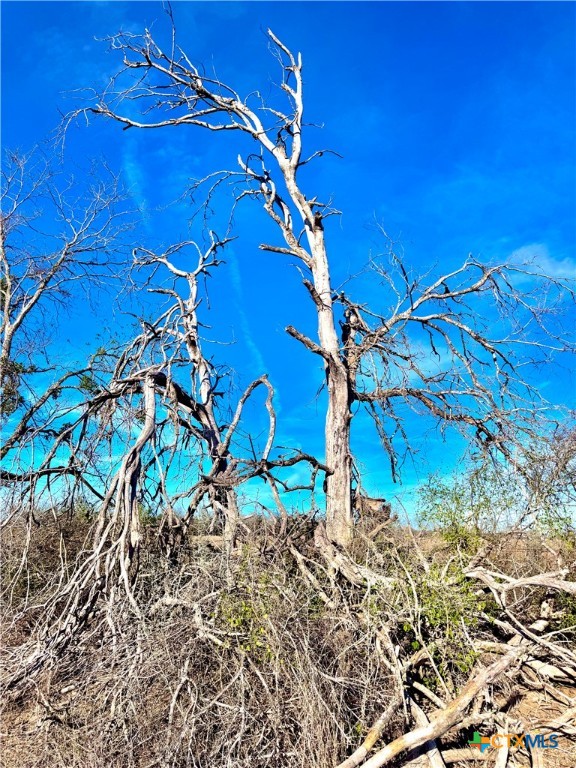 Tbd Tract H Scull Rd Property Photo 9