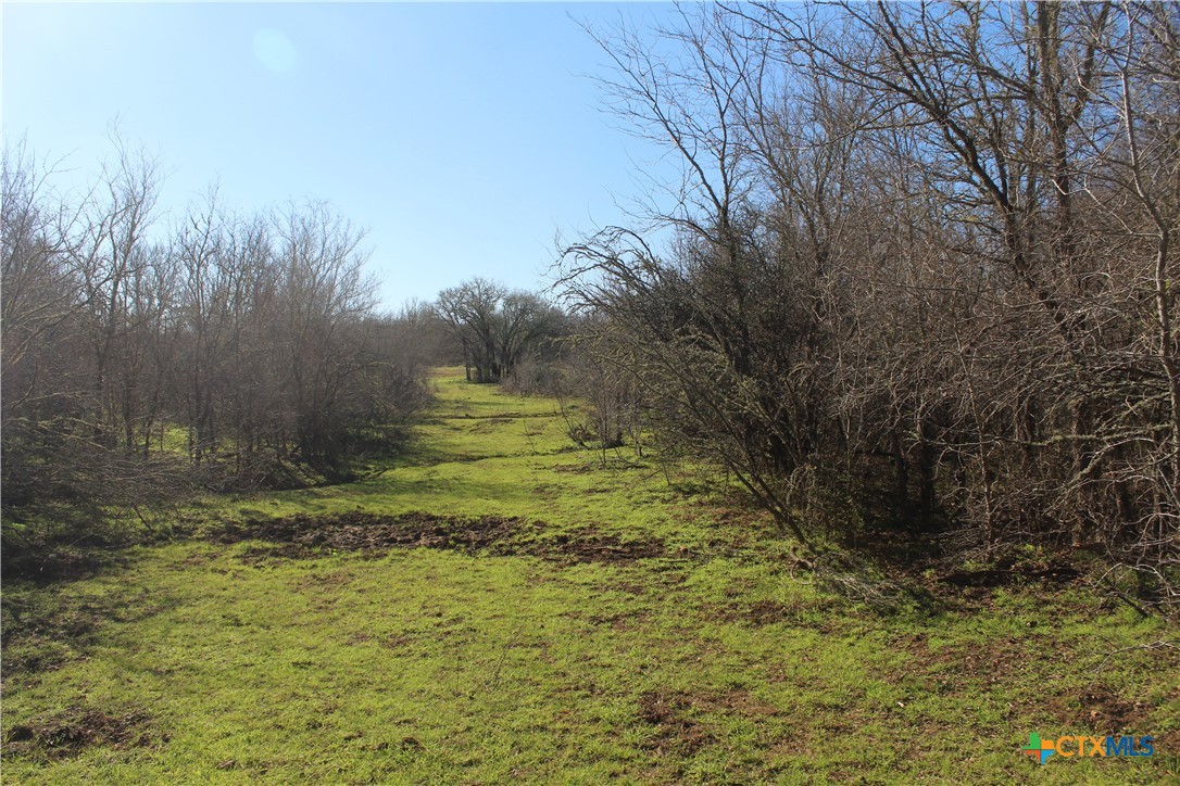1223 County Road 429 Property Photo 3
