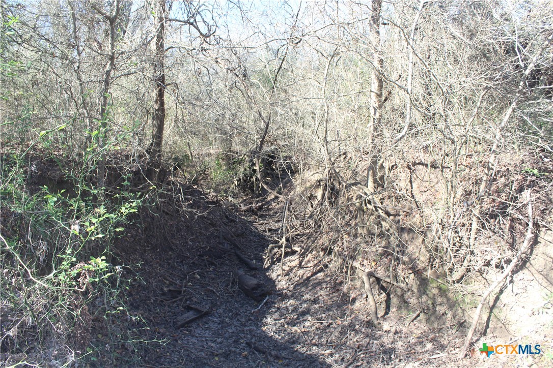 1223 County Road 429 Property Photo 11