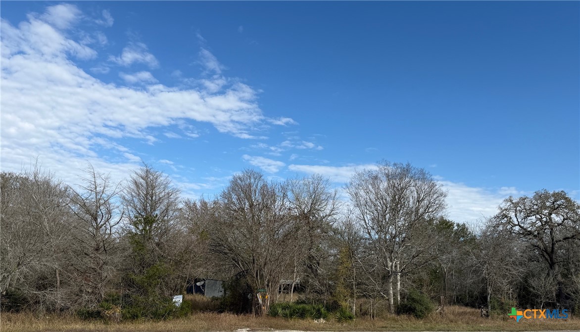 10102 Us Highway 90a Property Photo 1