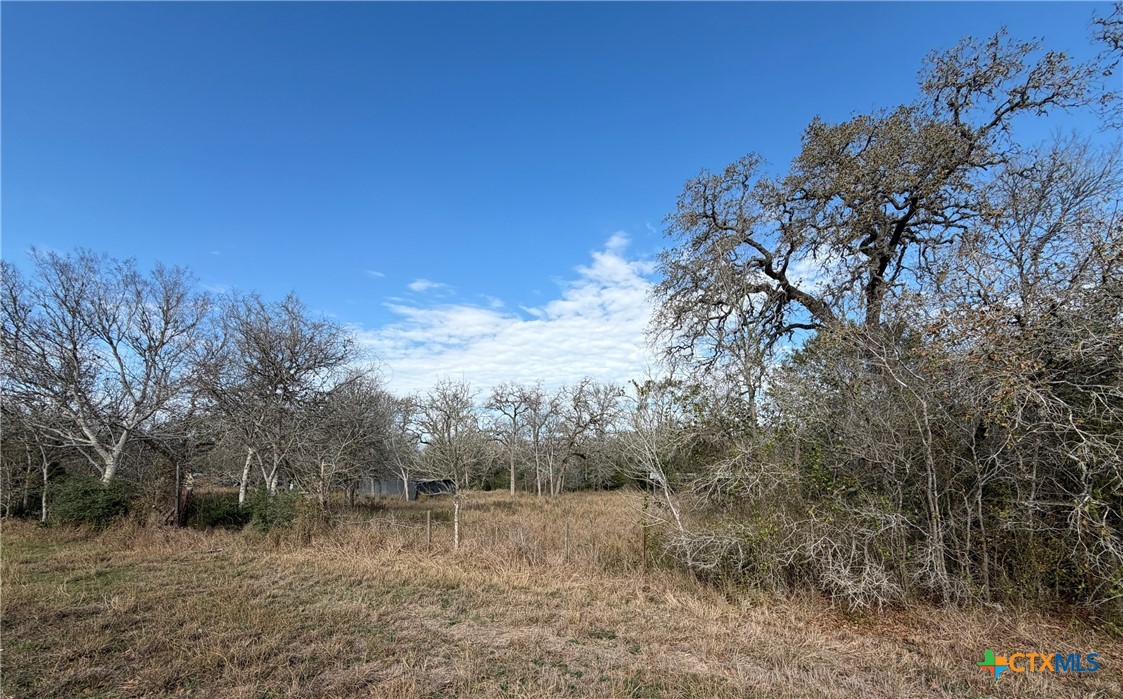 10102 Us Highway 90a Property Photo 2