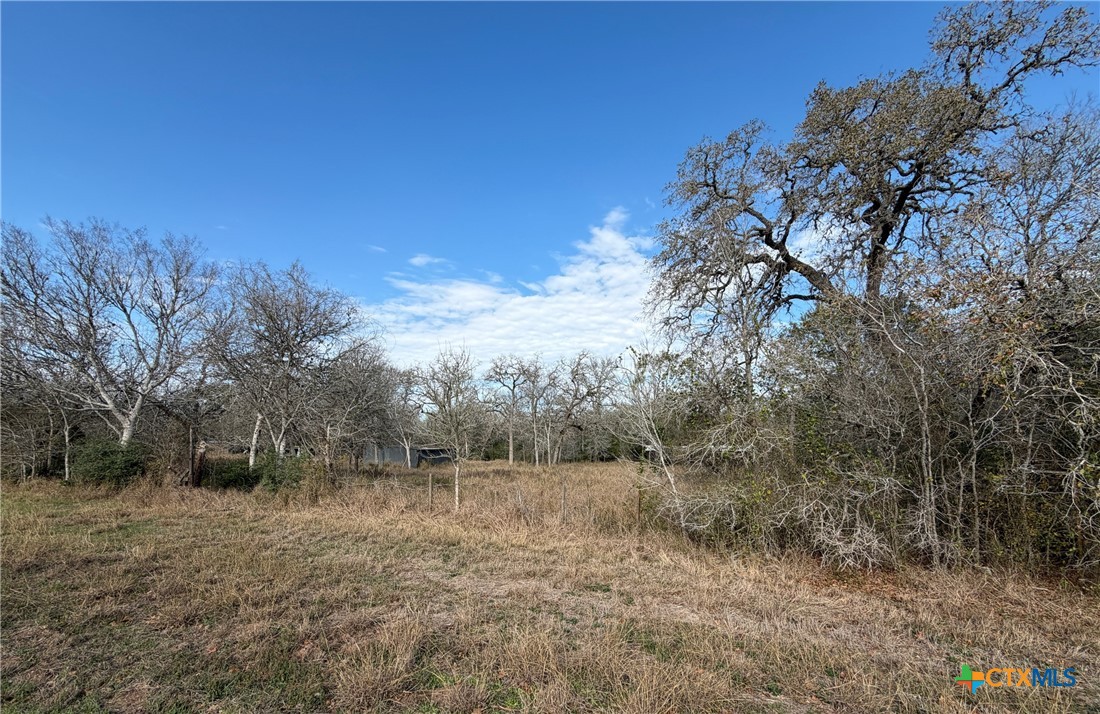 10102 Us Highway 90a Property Photo 4
