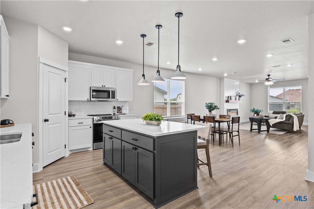 2017 Clear Sky Court Property Photo 3