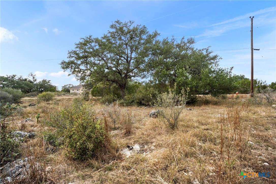 137 Red Tail Cove Property Photo 1