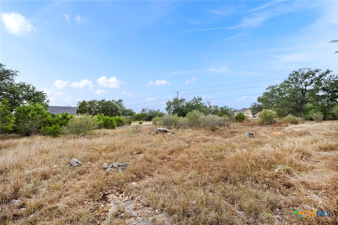 137 Red Tail Cove Property Photo 2