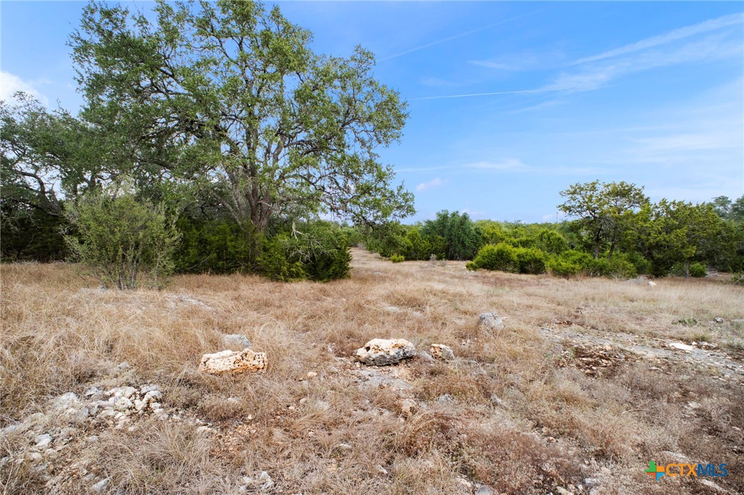137 Red Tail Cove Property Photo 3