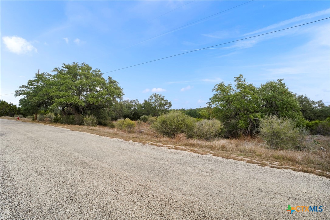 137 Red Tail Cove Property Photo 4
