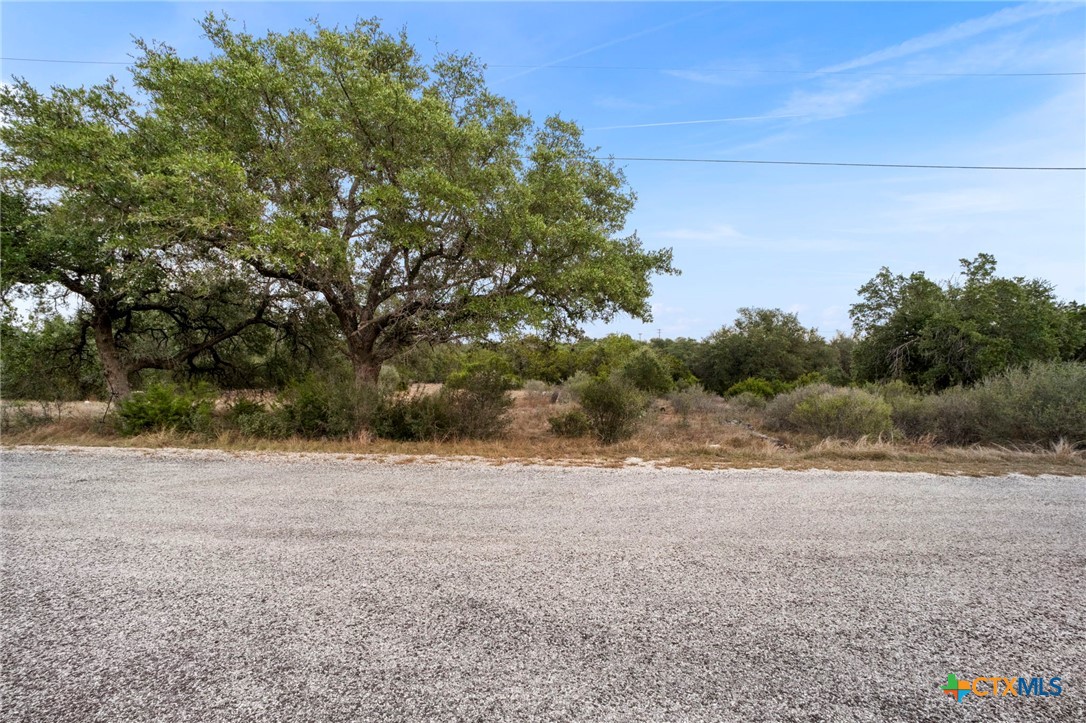 137 Red Tail Cove Property Photo 5