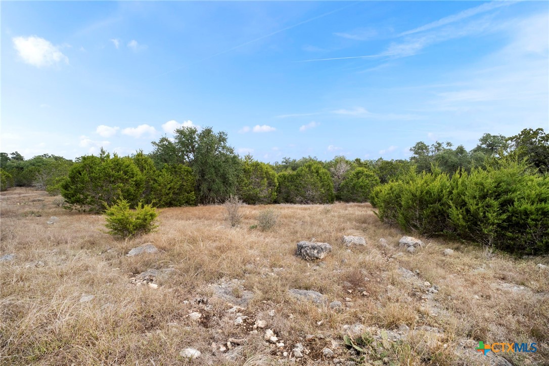 137 Red Tail Cove Property Photo 6
