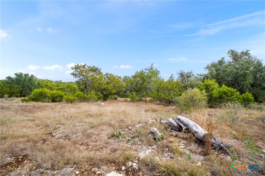 137 Red Tail Cove Property Photo 7