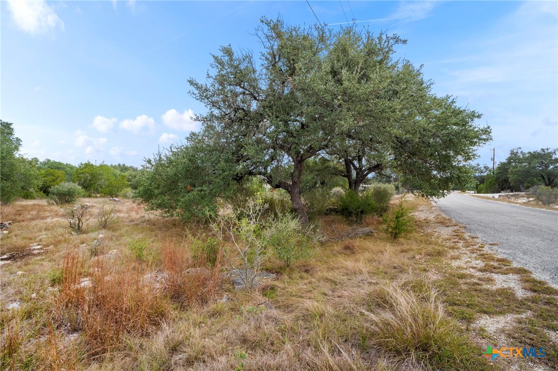 137 Red Tail Cove Property Photo 8