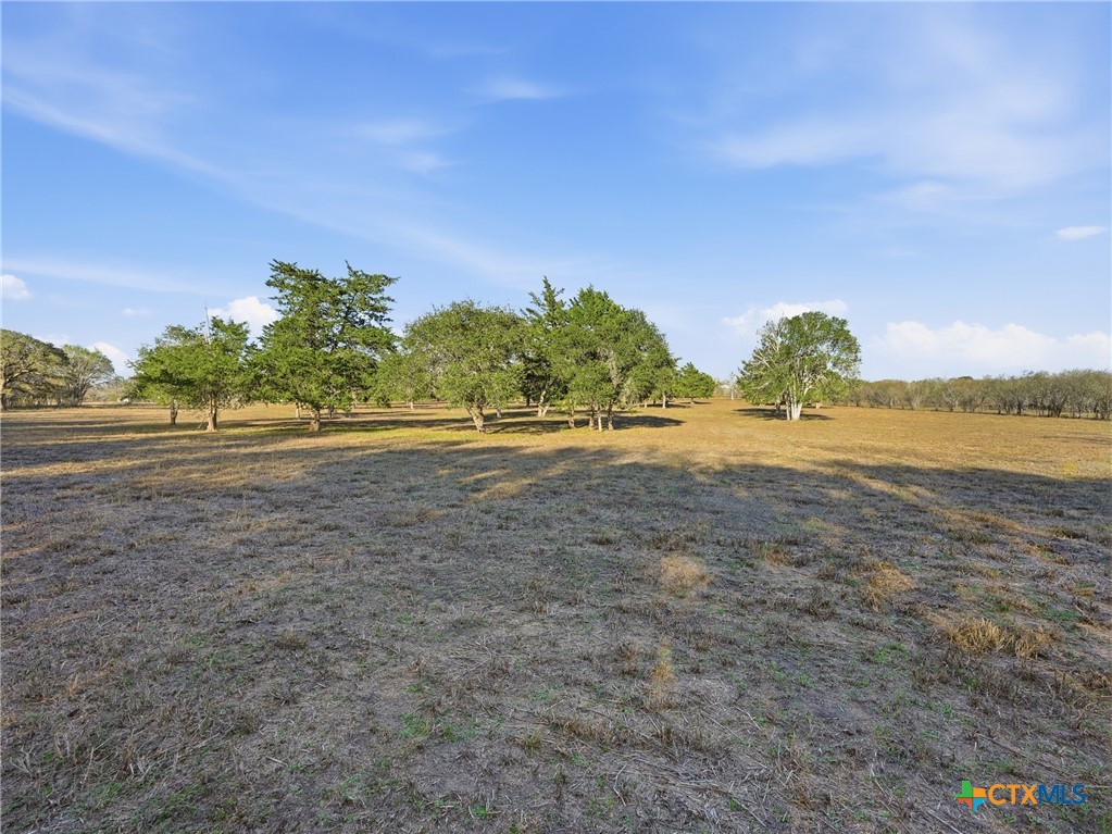 1123 Dunn Street Property Photo 37