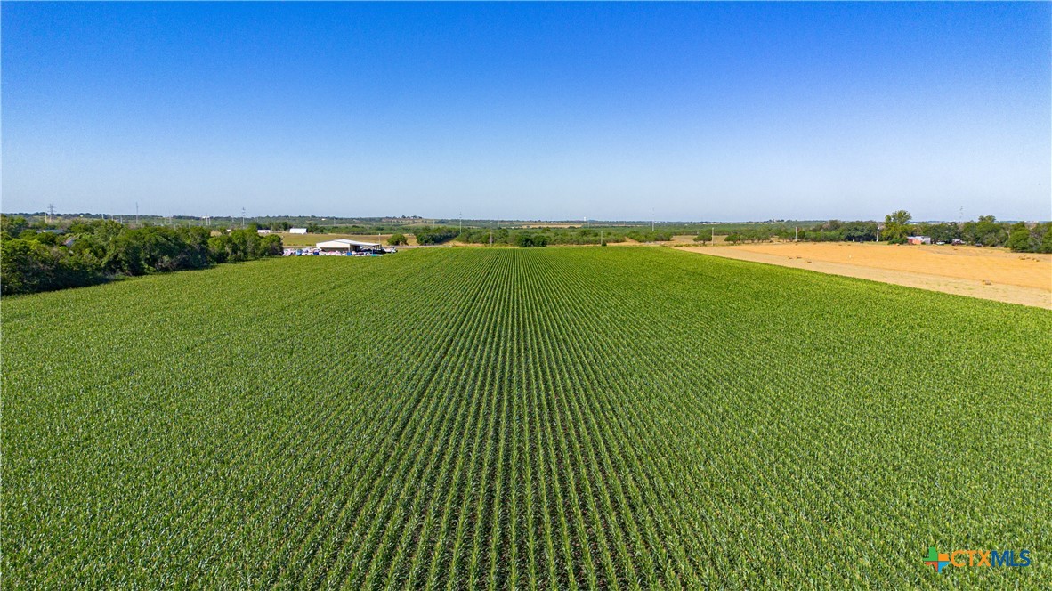 Tbd Fm-725 Property Photo 21
