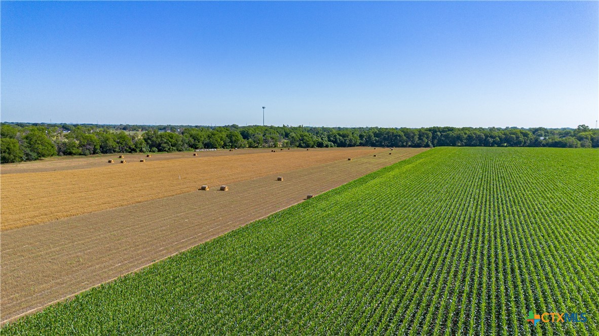 Tbd Fm-725 Property Photo 25