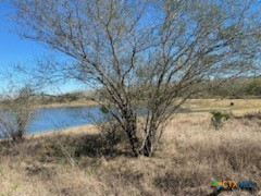 Tbd Us Highway 181 South Property Photo 1
