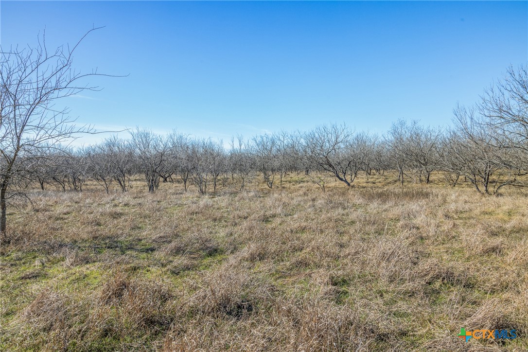 5225 Fm 2001 Property Photo 42