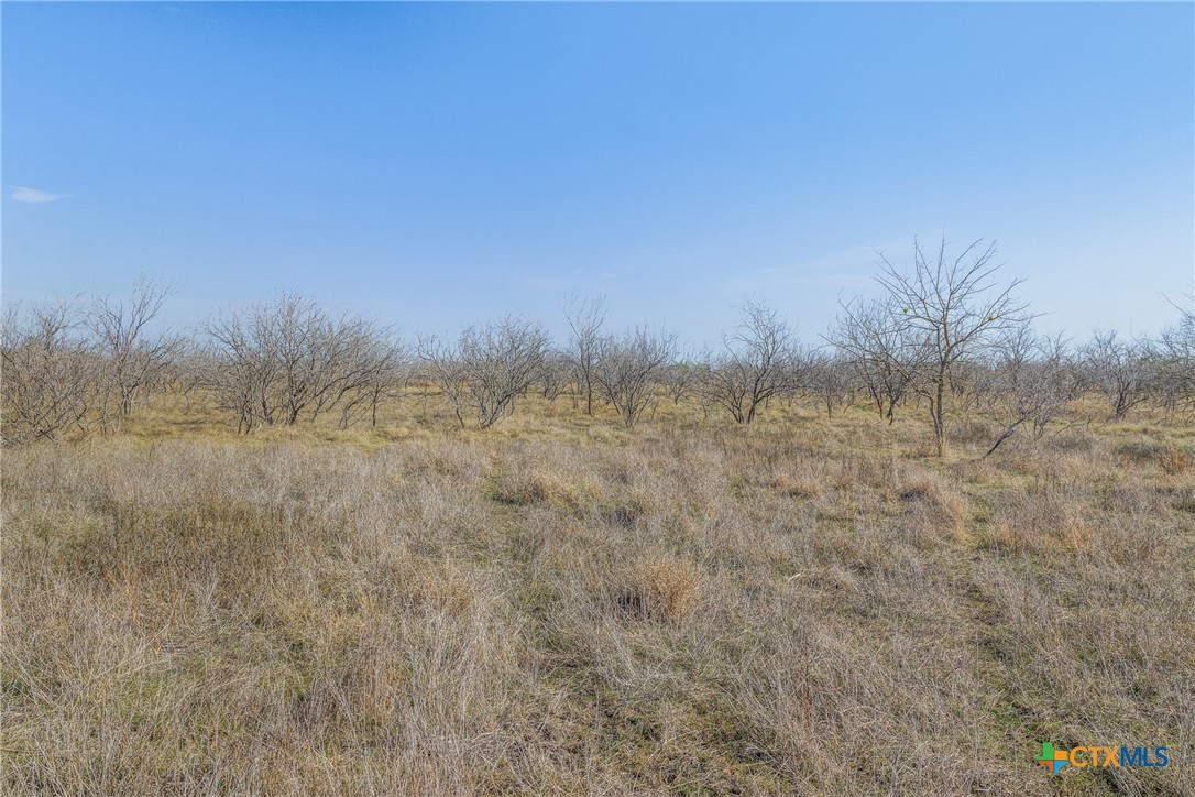 5225 Fm 2001 Property Photo 43