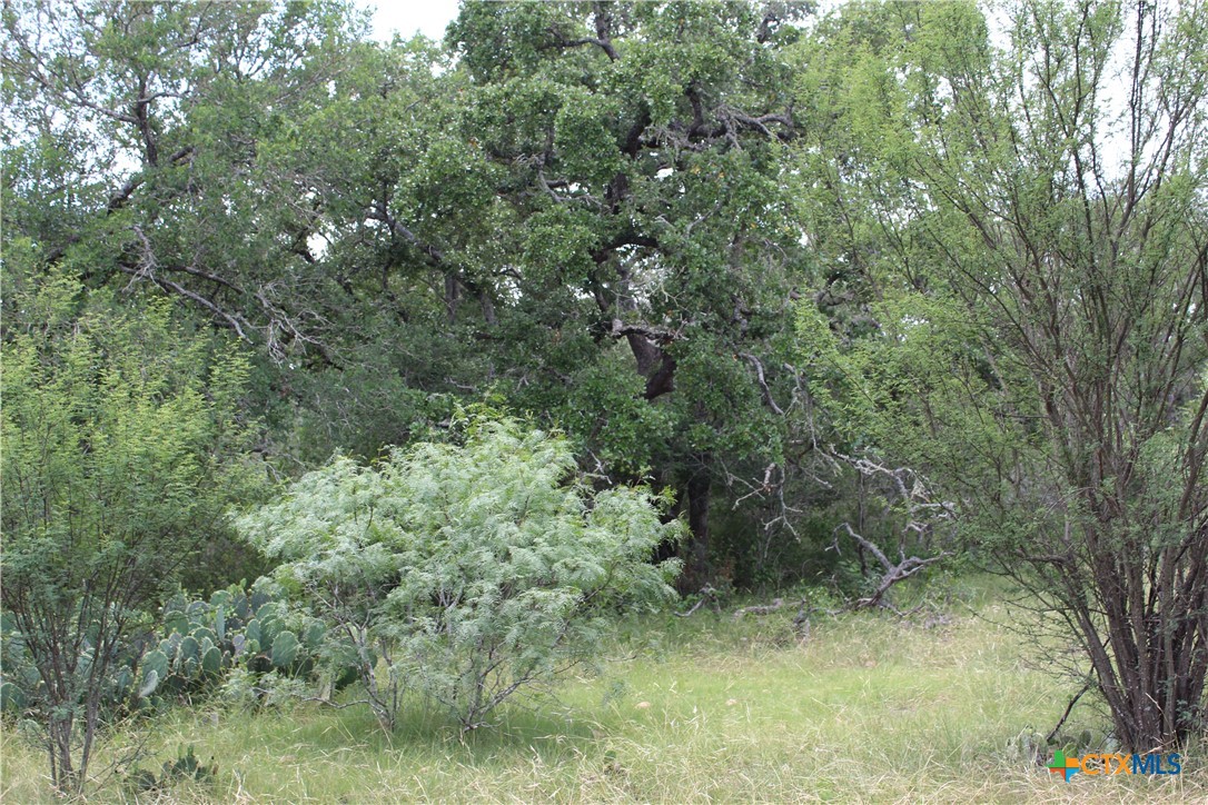 0 Fm 3353 Property Photo 1