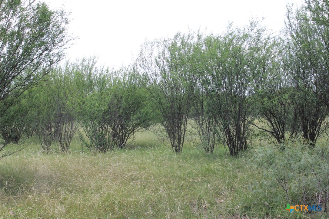 0 Fm 3353 Property Photo 3