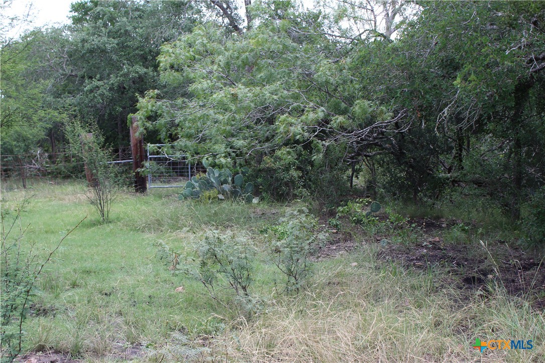 0 Fm 3353 Property Photo 6