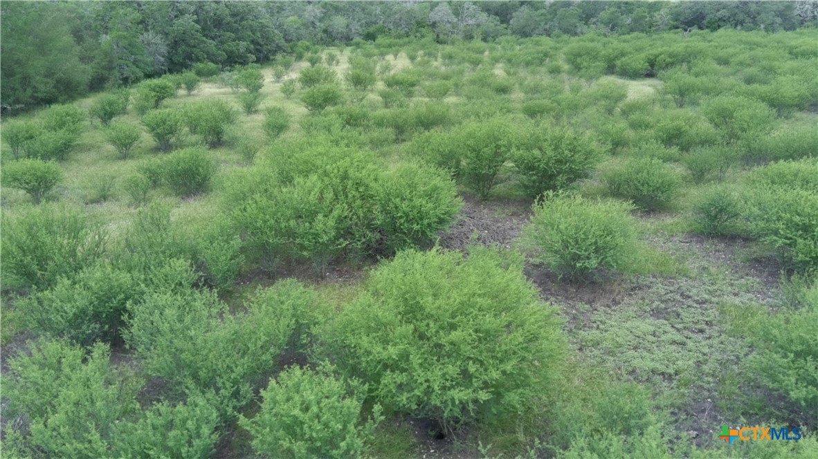 0 Fm 3353 Property Photo 7