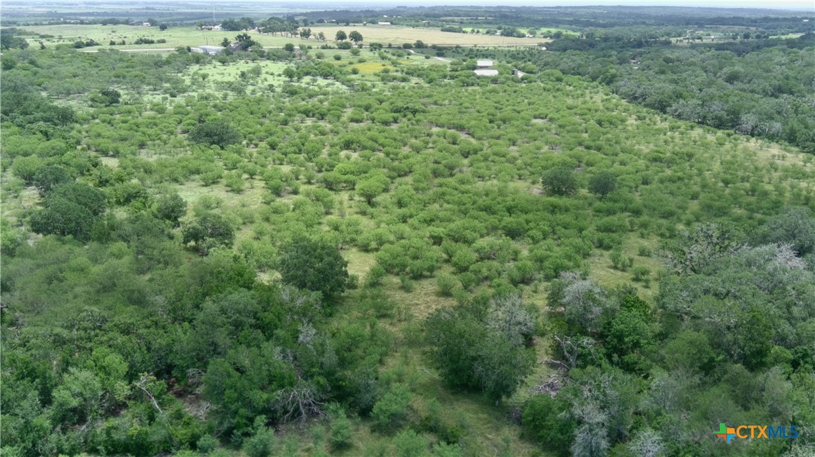 0 Fm 3353 Property Photo 9