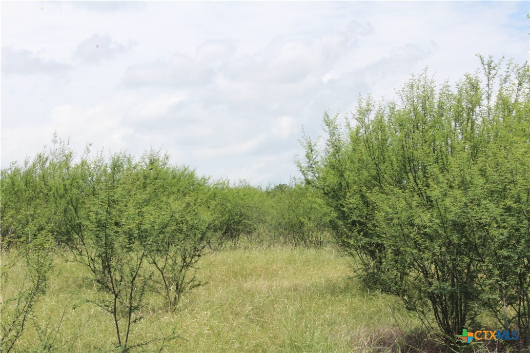 0 Fm 3353 Property Photo 10