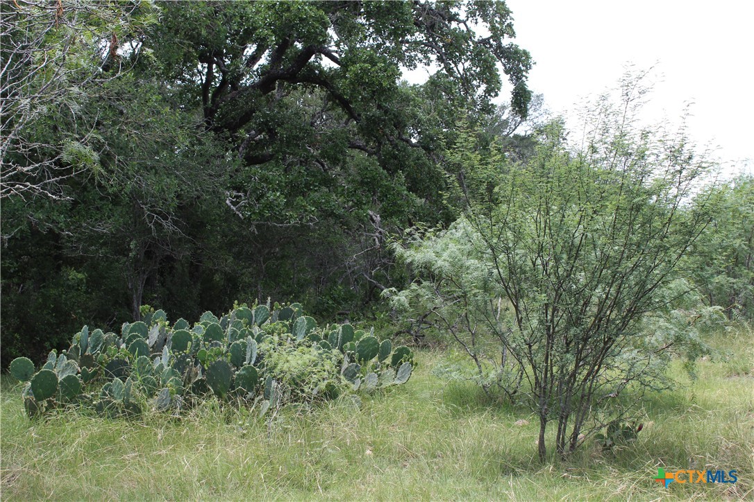 0 Fm 3353 Property Photo 11