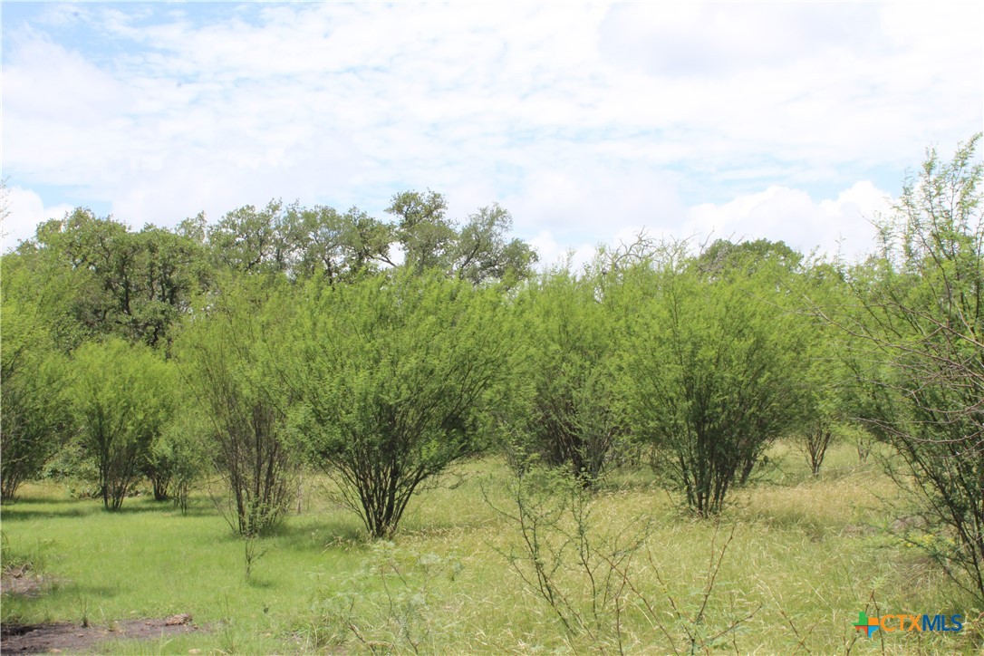 0 Fm 3353 Property Photo 12