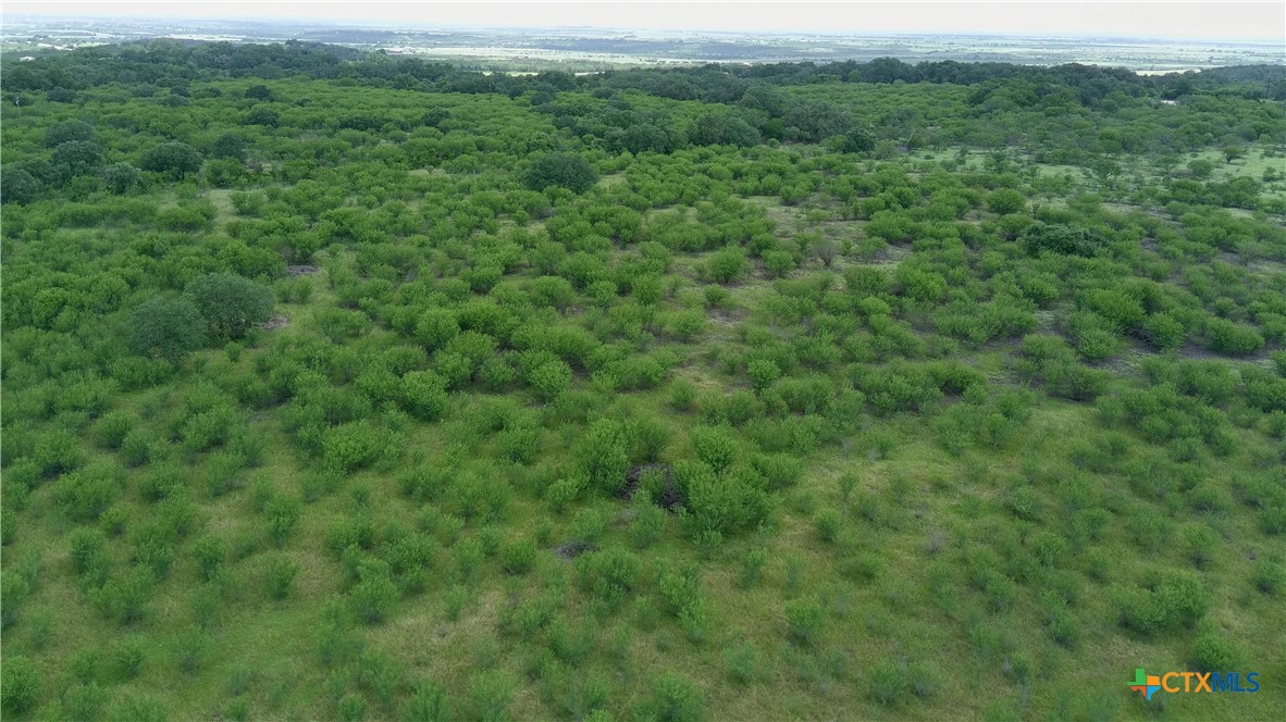 0 Fm 3353 Property Photo 13