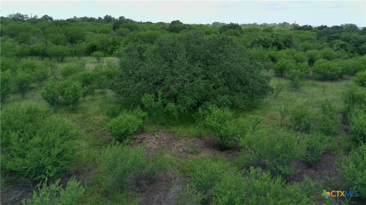 0 Fm 3353 Property Photo 14