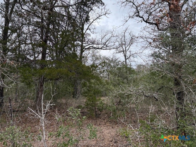 0 Fm-1447 Property Photo 5