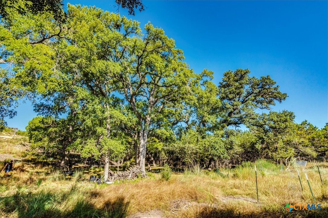 530 Stallion Estates Property Photo 13