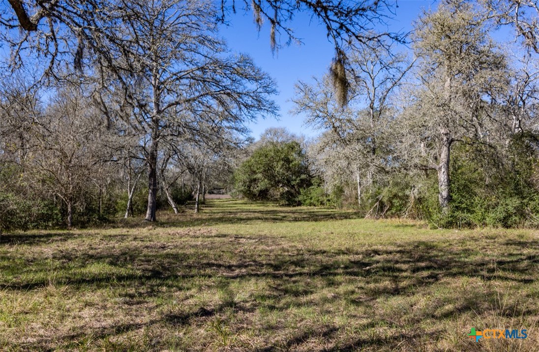 000 County Road 284 Property Photo 1