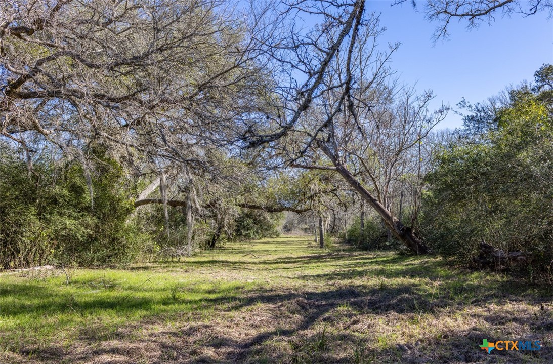 000 County Road 284 Property Photo 4