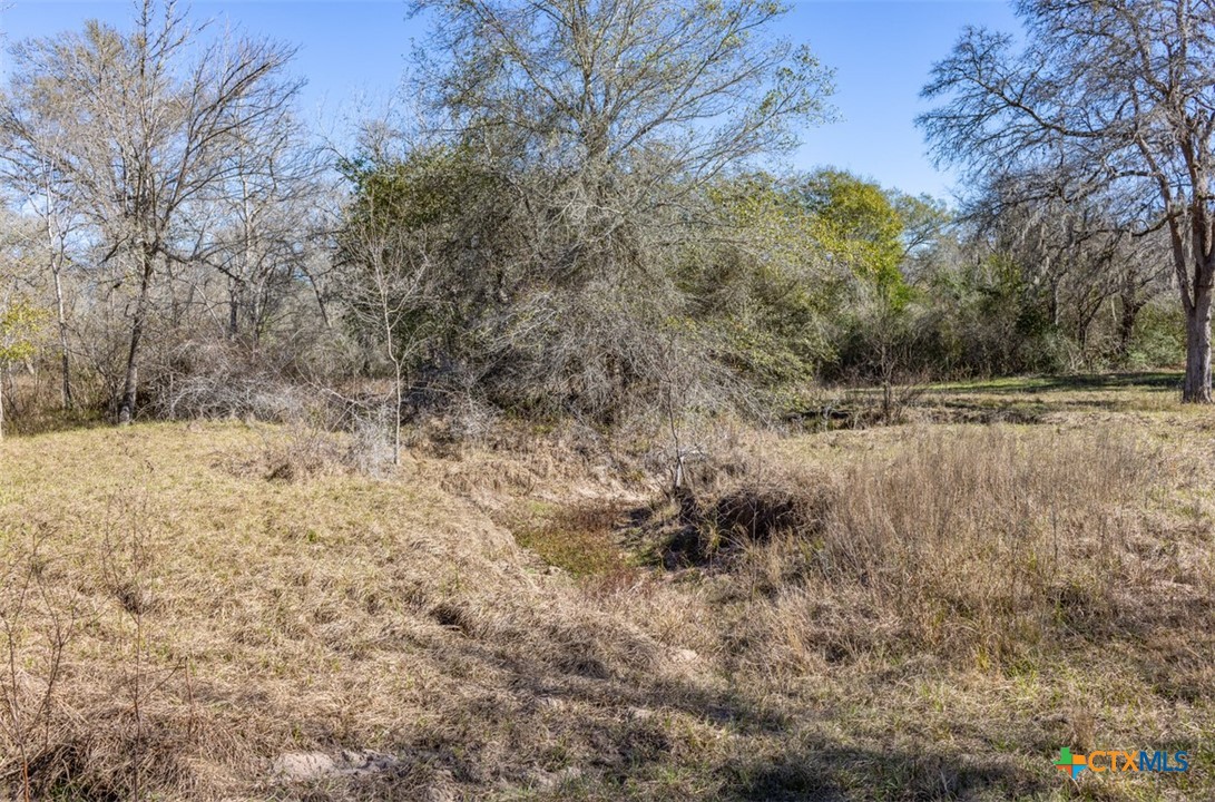 000 County Road 284 Property Photo 5