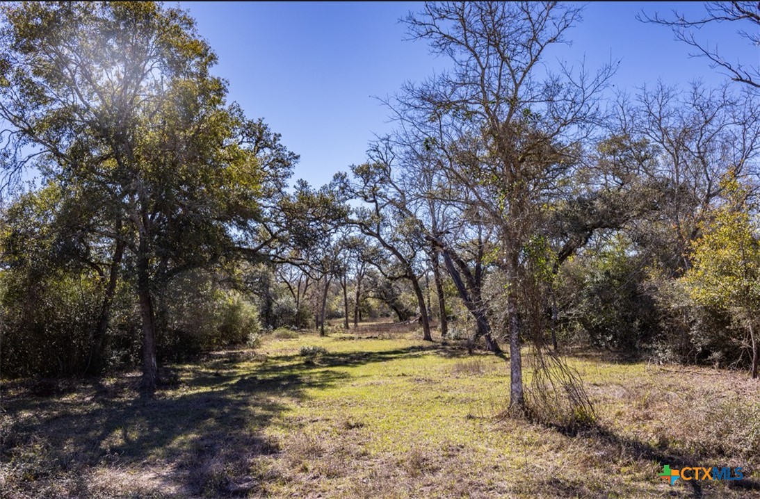 000 County Road 284 Property Photo 12