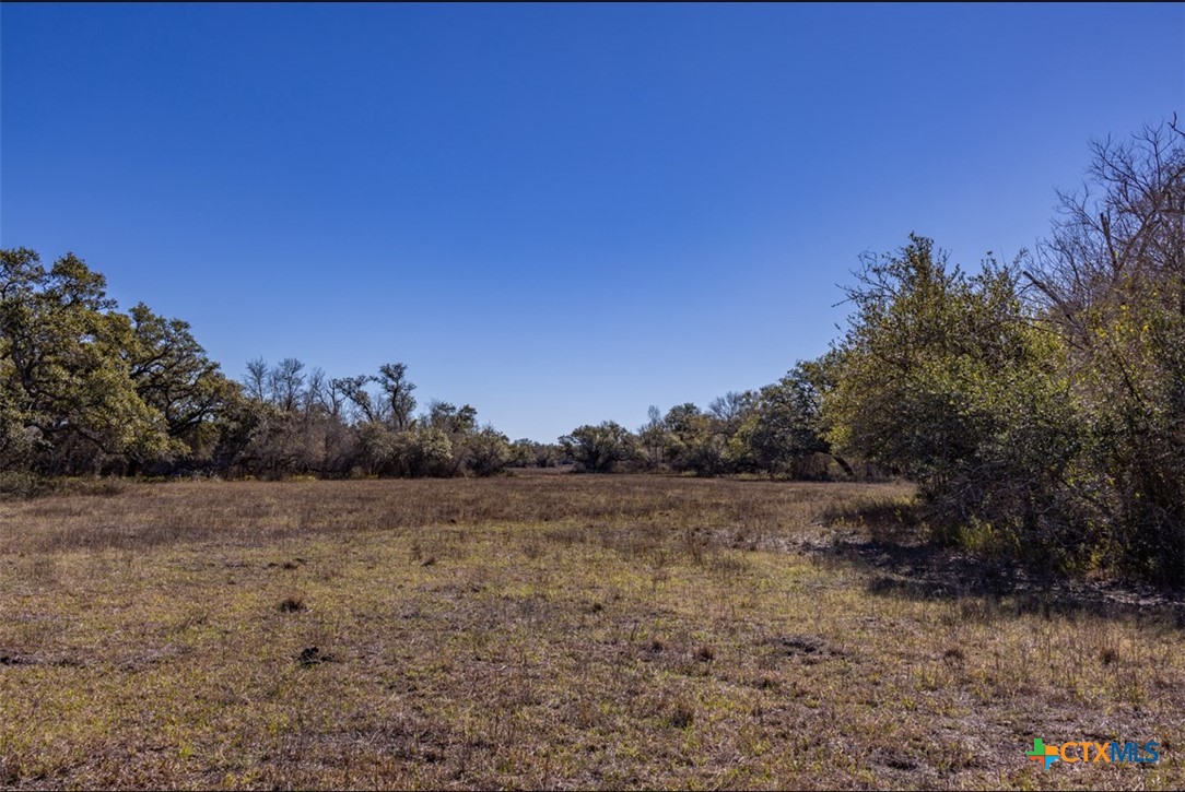 000 County Road 284 Property Photo 18
