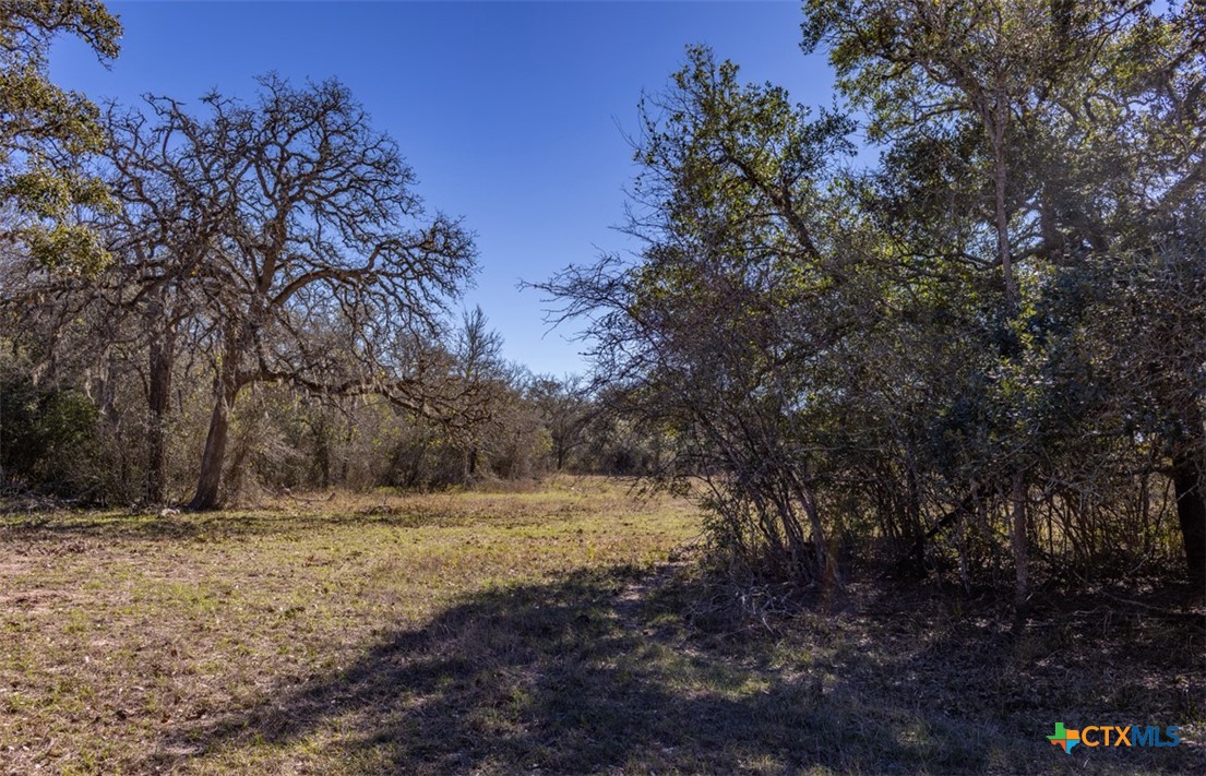000 County Road 284 Property Photo 27