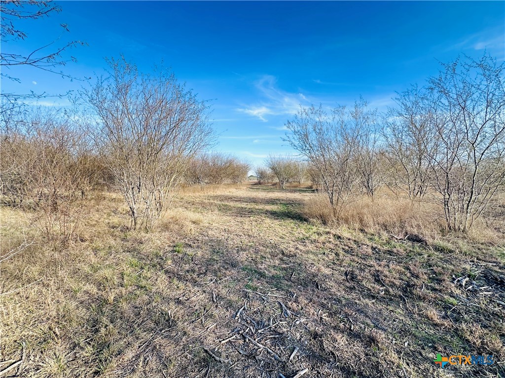 4584 Us Hwy 77a Property Photo 10