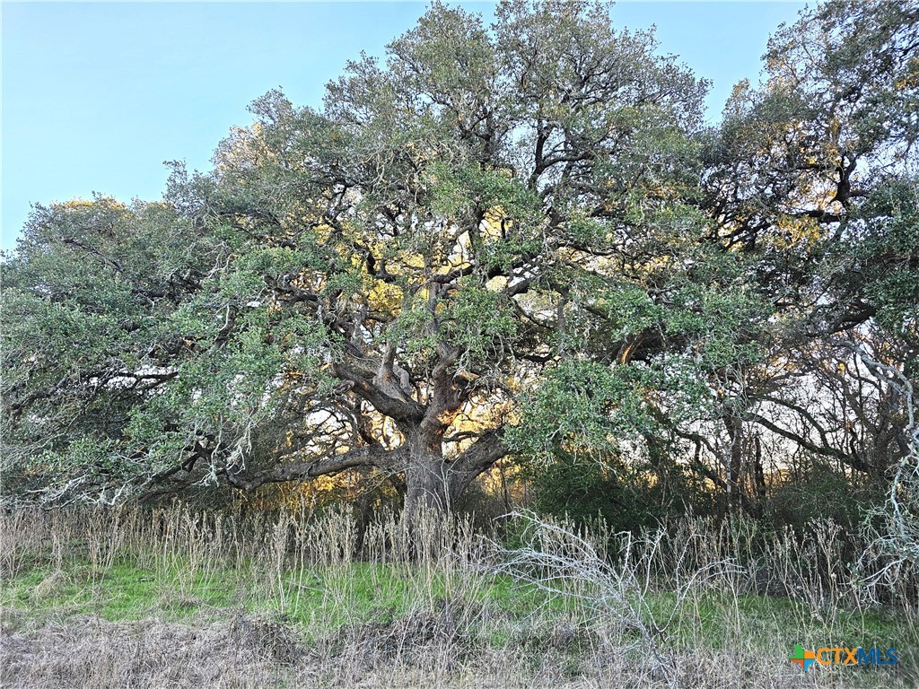 4584 Us Hwy 77a Property Photo 13