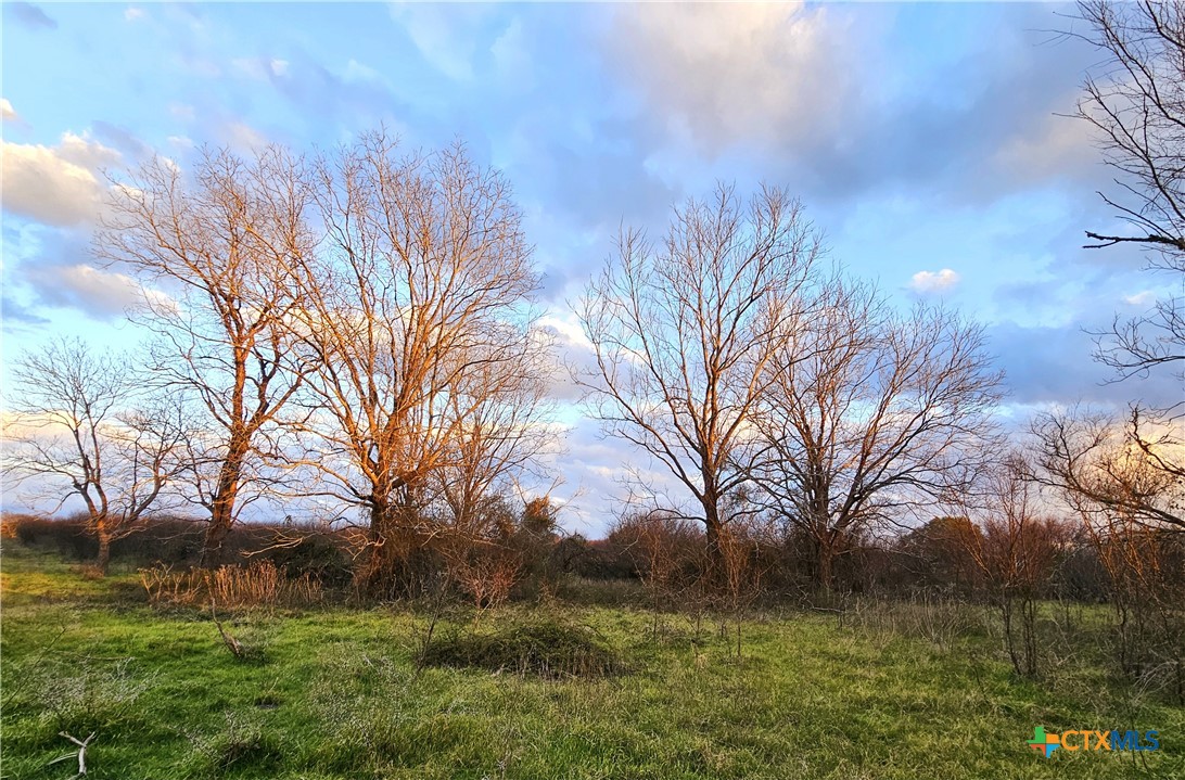 4584 Us Hwy 77a Property Photo 15