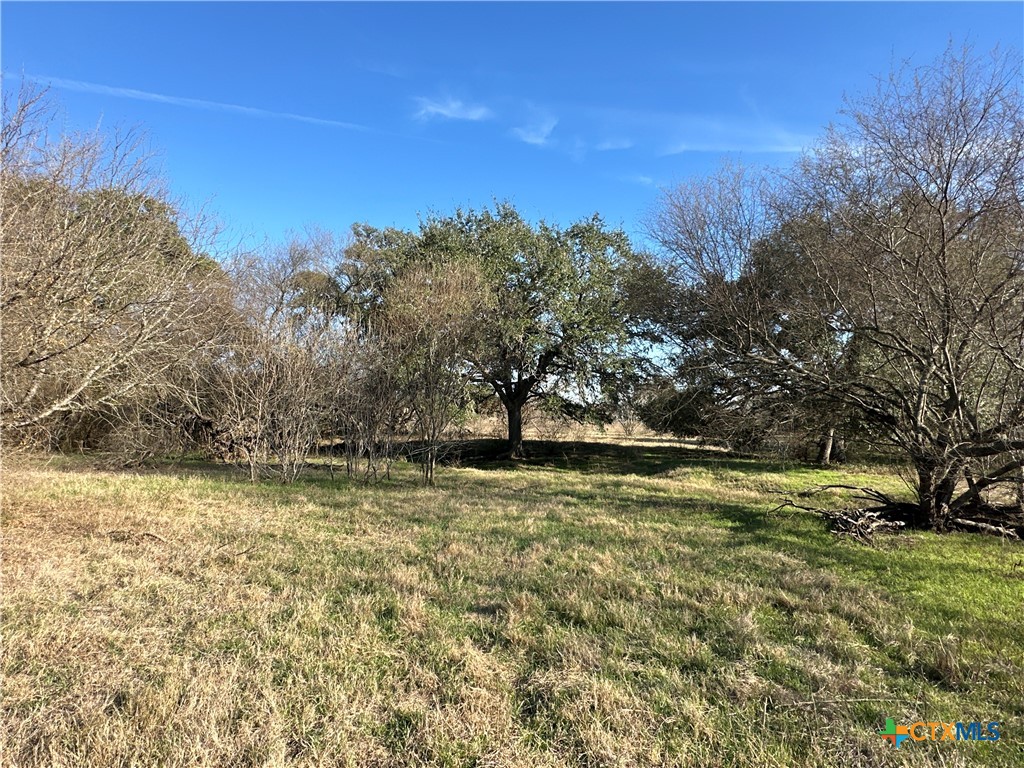 4584 Us Hwy 77a Property Photo 19