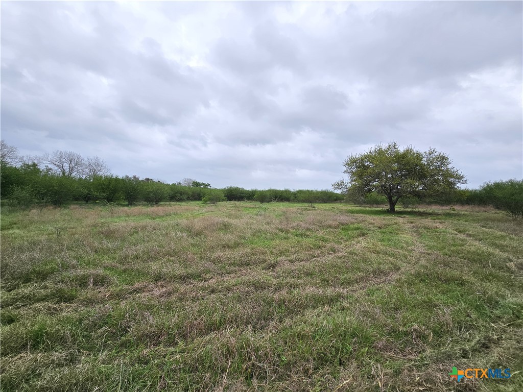 4584 Us Hwy 77a Property Photo 23