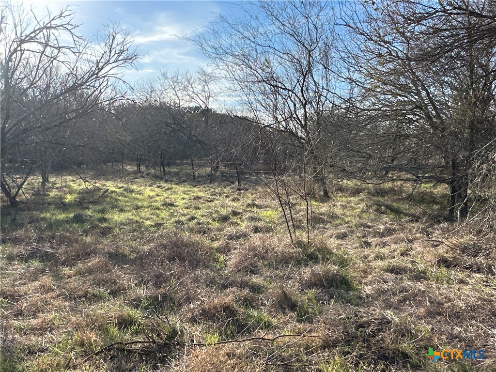 4584 Us Hwy 77a Property Photo 27