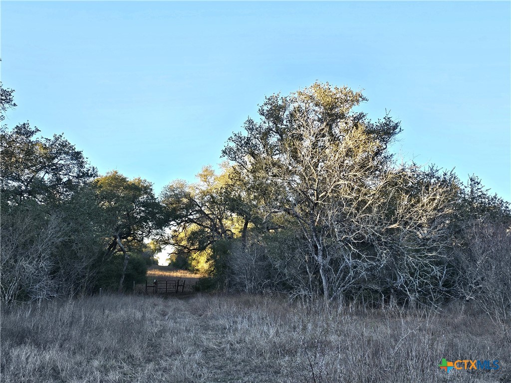 4584 Us Hwy 77a Property Photo 37