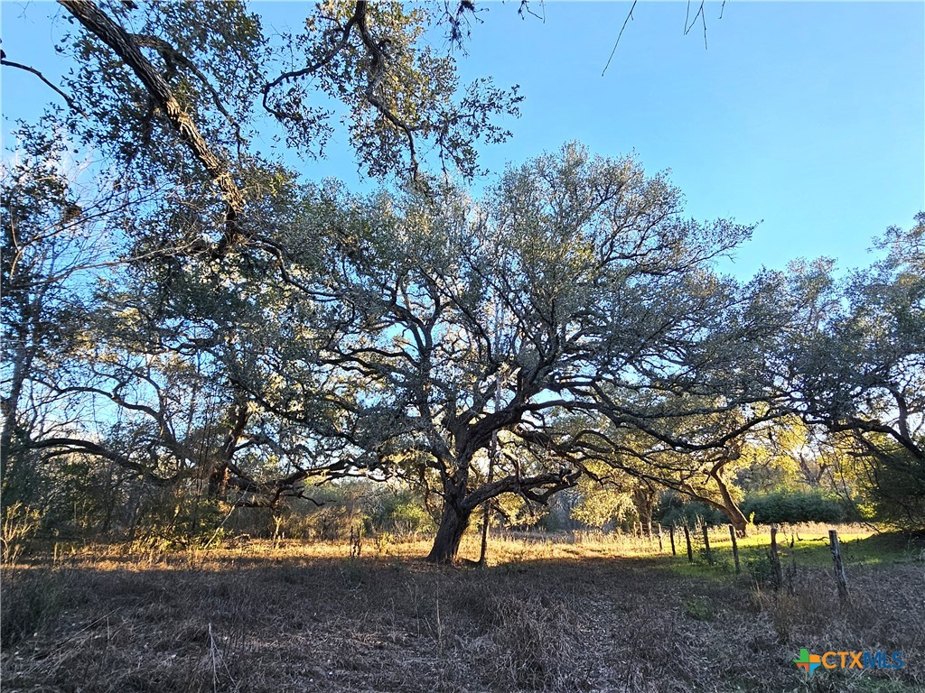 4584 Us Hwy 77a Property Photo 38