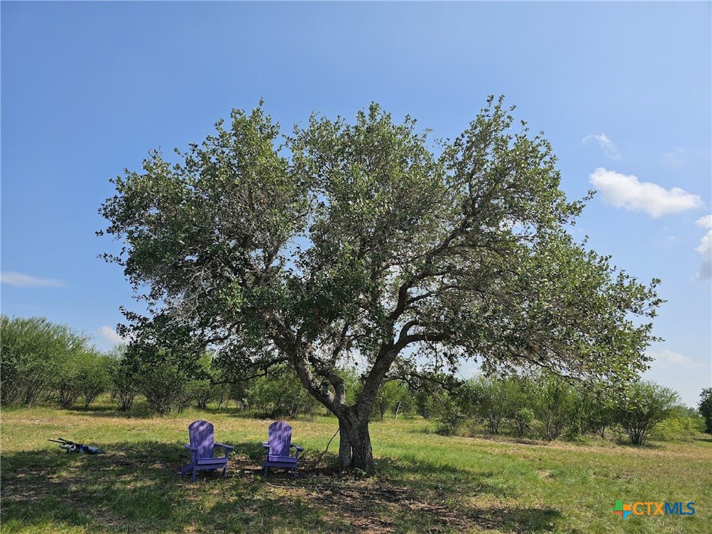 4584 Us Hwy 77a Property Photo 42