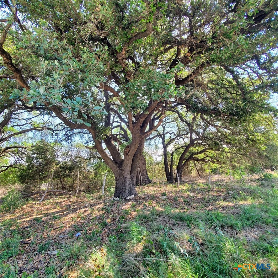 0 E US Highway 190 Property Photo 1