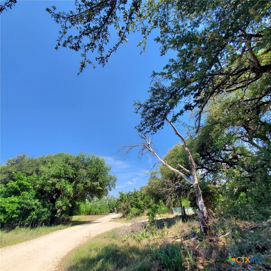 0 E Us Highway 190 Property Photo 2